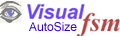VisualFSM
